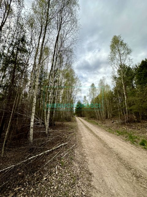 Działka Strzeniówka