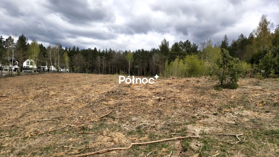 Zdjęcie 2