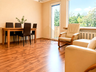 Mieszkanie przy lesie