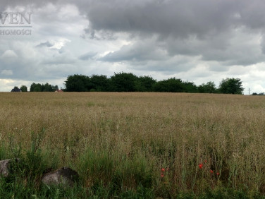 Działka rolna sprzedam