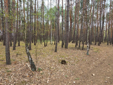 Pusta działka Świniotop