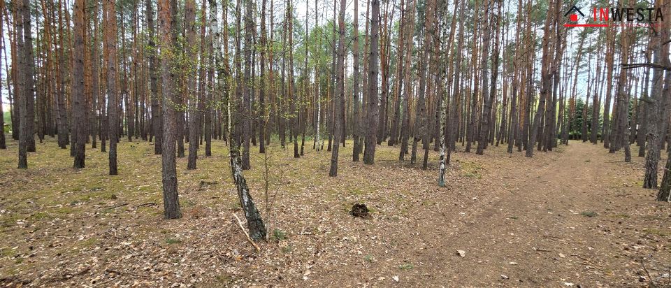 Pusta działka Świniotop