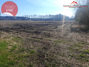 Działka budowlana Rozgarty