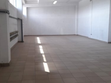 Lokal Kielce