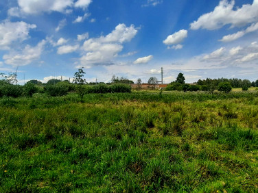 Działka rolna Wola Gołkowska