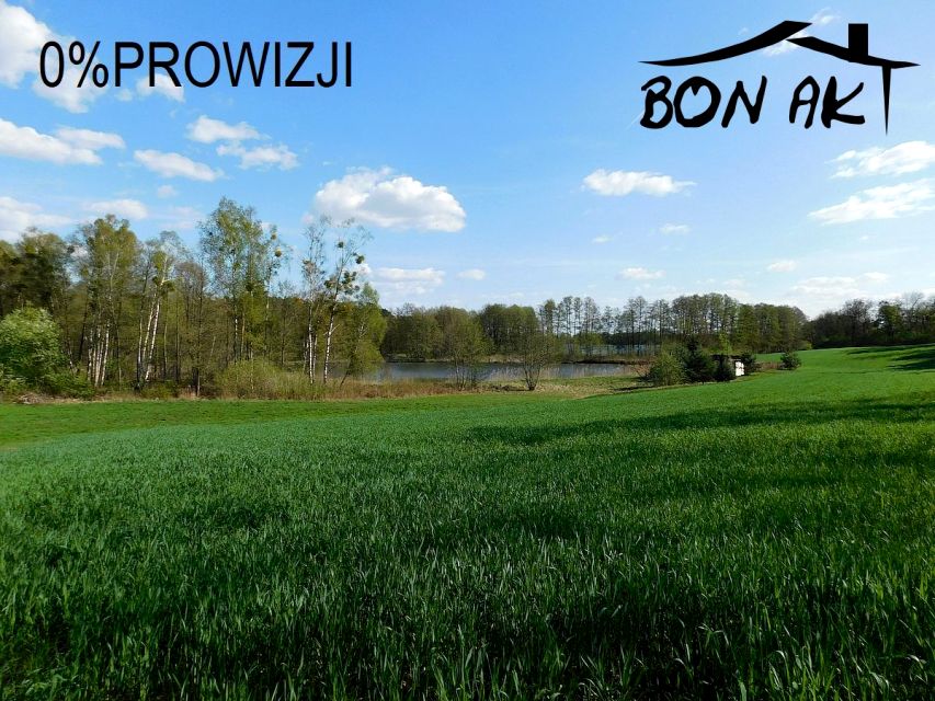 Działka rolna Buszewo