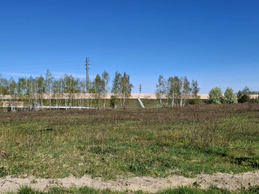 Działka usługowa Wola Gołkowska