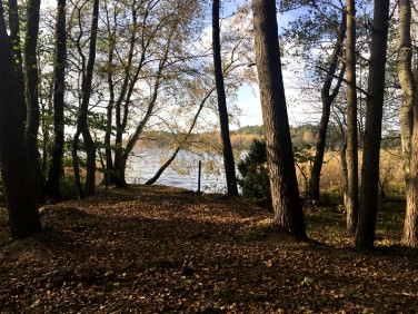 Działka rekreacyjna Kamień