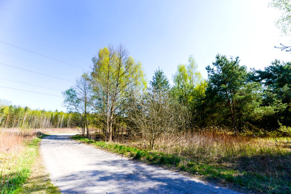 Działka przy lesie