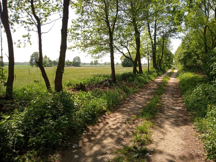 Działka Goszczyce Średnie