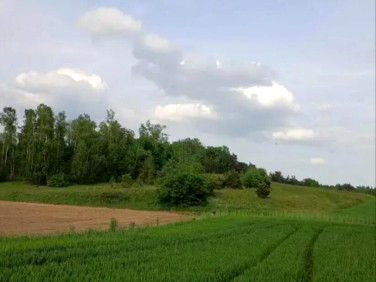 Działka budowlana Sławka Wielka