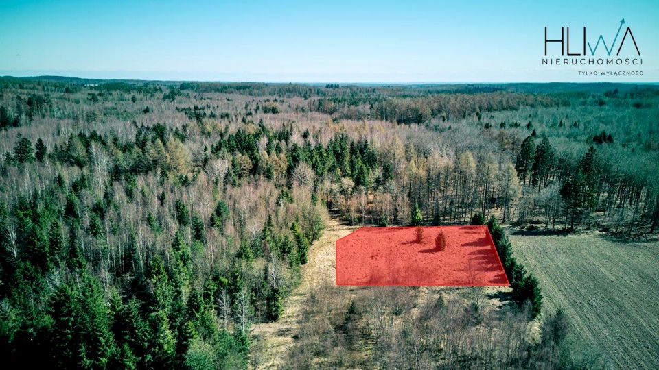 Działka budowlana Kierzkowo