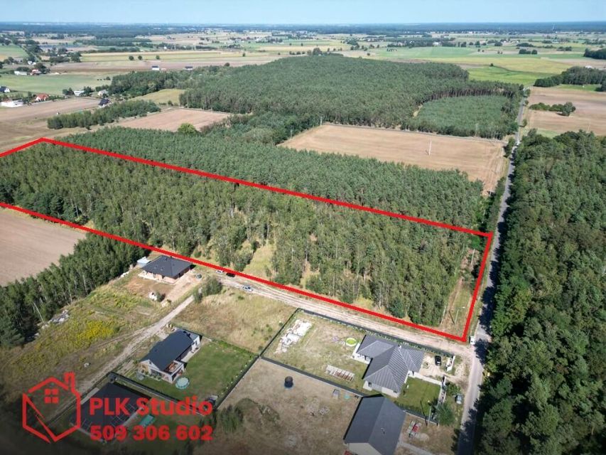 Działka leśna Witkowo