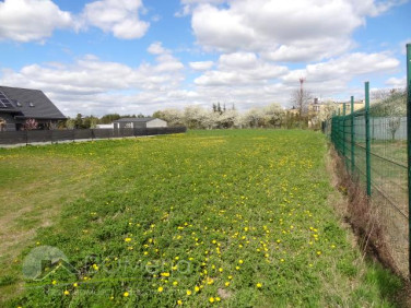 Działka budowlana Płoskie