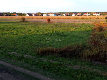 Działka budowlana Miłoszyce