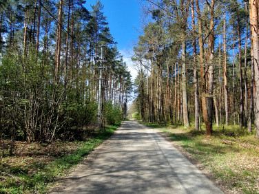 Działka budowlana Czarków sprzedam