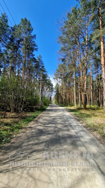 Działka budowlana Czarków sprzedam