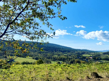 Działka budowlana Zakrzów