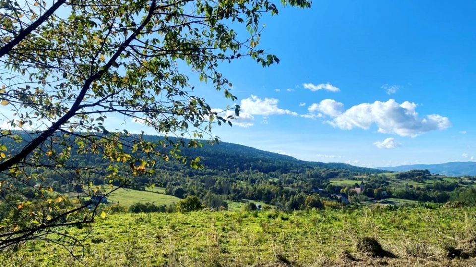 Działka budowlana Zakrzów