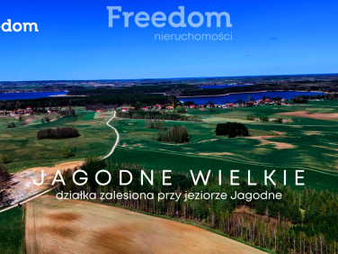 Działka leśna Jagodne Wielkie