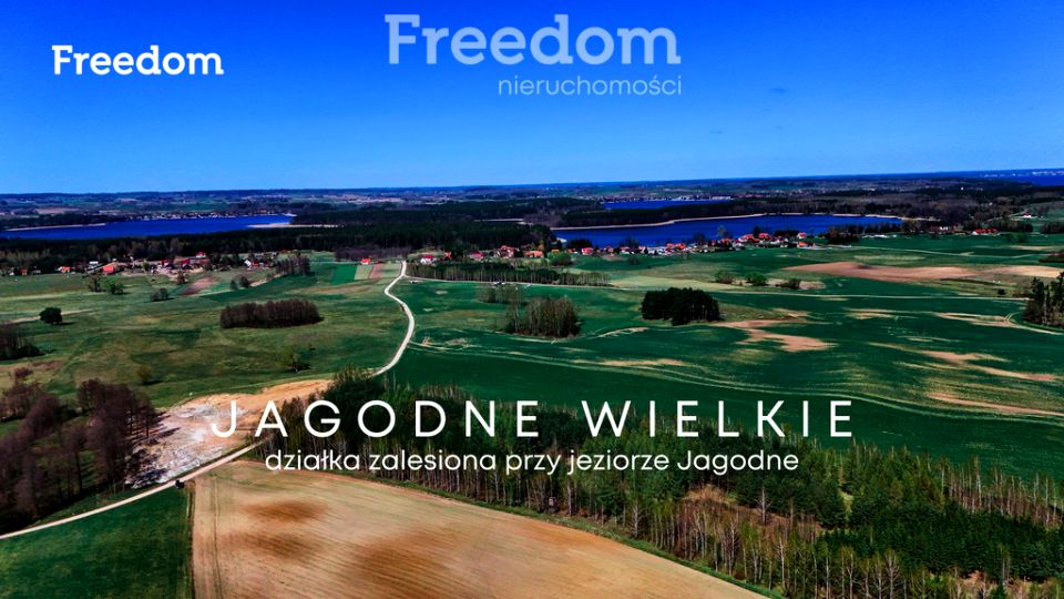Działka leśna Jagodne Wielkie