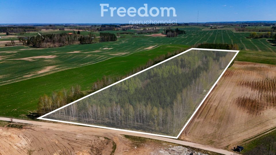 Zdjęcie 2