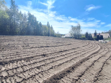 Działka Dziećmorowice