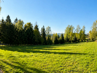 Działka Koniaków