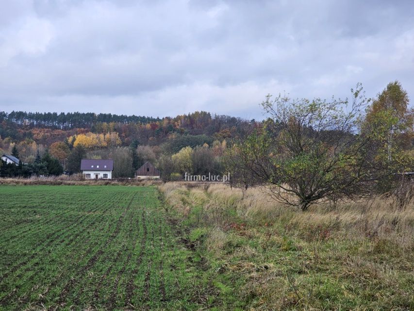 Działka Wieprzyce