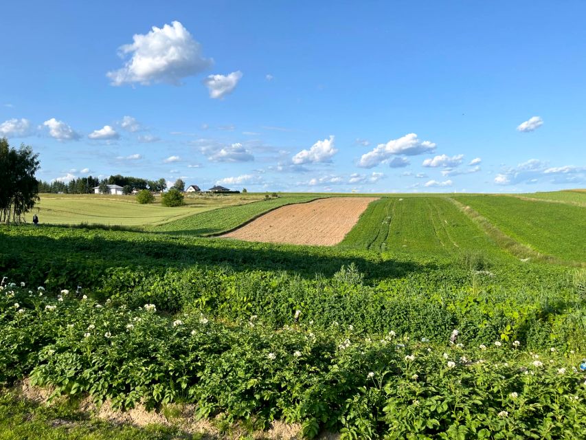 Działka budowlana Ropczyce