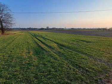 Działka budowlana Przeździatka-Kolonia