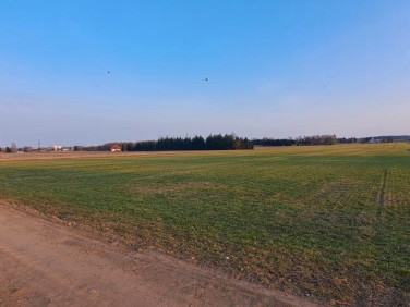 Działka budowlana Przeździatka-Kolonia