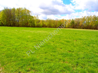 Działka Borek Czarniński