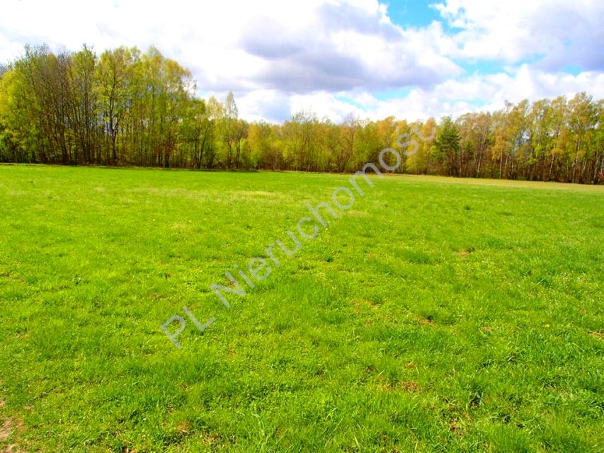 Działka Borek Czarniński