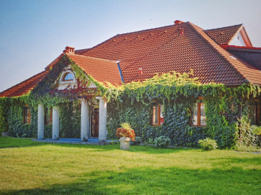 Dom Szczekociny