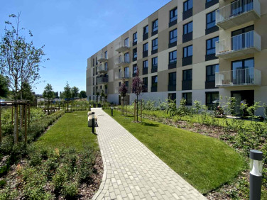 Mieszkanie Łódź sprzedaż