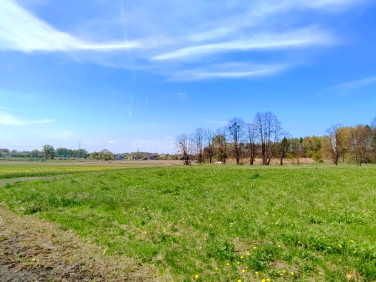 Działka Łaziska