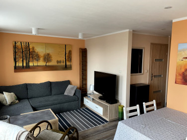 Mieszkanie Opole wynajem