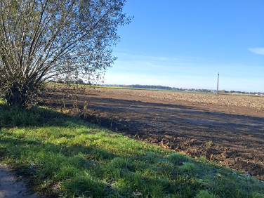 Działka budowlana Ceradz Kościelny sprzedam