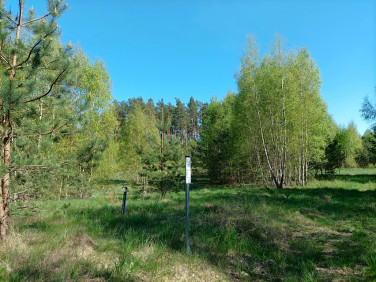 Działka budowlana Sikorzyno