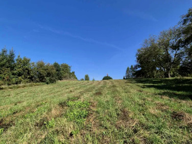 Działka budowlana Jastrzębie-Zdrój