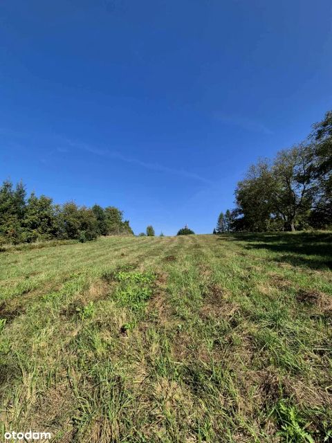 Działka budowlana Jastrzębie-Zdrój