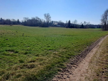 Działka inna Hołowienki