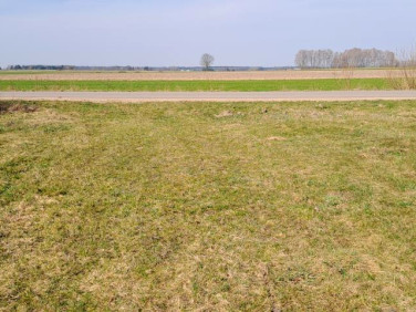 Pusta działka Hołowienki