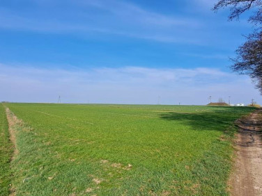 Działka Hołowienki