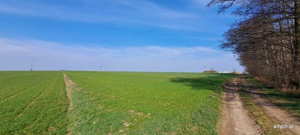 Działka Hołowienki