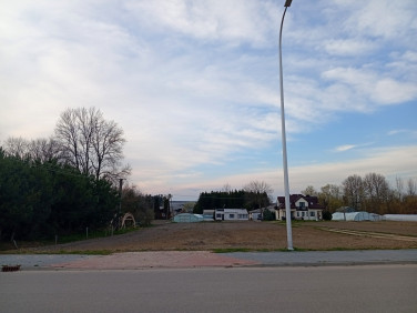 Działka budowlana Czyżew