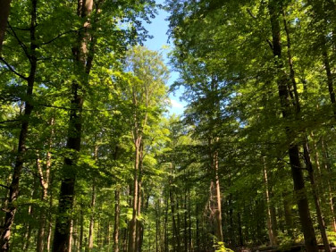 Działka budowlana Magdalenka