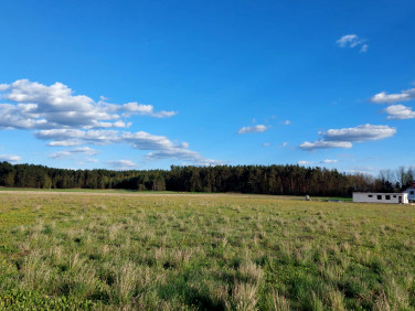 Działka budowlana Wiśnicz sprzedam