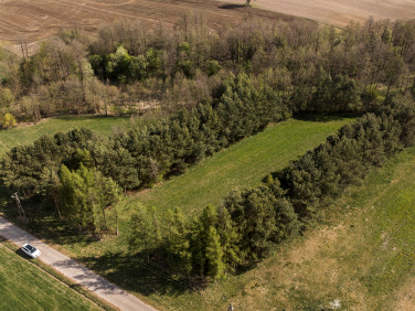 Działka rekreacyjna Zambski Stare